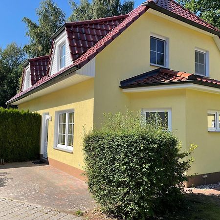 Ferienhaus Strandoase زنغست المظهر الخارجي الصورة